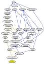(<b>Langerhans cells</b>) in the