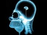 http://t1.gstatic.com/images?q=tbn:ANd9GcS0j94p0aenF_lNN3e1Yc1l0j3LmnFCucWaaAo7MbNrDwf-B3HTNw