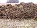 manure science | Food Freedom