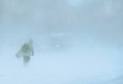 What is a blizzard?