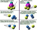 The Ozone Hole-Ozone Destruction