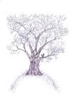 "soulful tree" by Naomi *OmI* - via Daymix