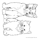 Cat coloring page