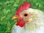 Eric Chicken 