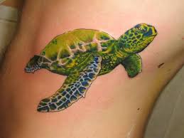 Turtle Tattoos Designs