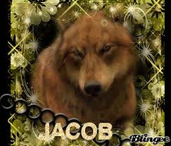 JACOB WOLF [OriGinaL bY _missLautner_]. JACOB WOLF [OriGinaL bY _missLautner_]. ahhh k bonoooo^^