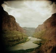 http://t1.gstatic.com/images?q=tbn:ANd9GcS1ZZVK_GFrxxLZ2-sqTVkkeQ9OTT1tugypq_PmF6U48RbJqUi1Tw