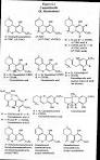 Robert A. Nelson: Hemp Husbandry ~ Cannabinoid Chemistry (Ch 6)
