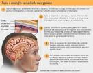 primeiro caso de <b>meningite</b>