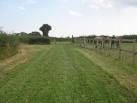 Footpath to Little Dunks Farm. This path leads from Brookland Wood,past the - via Daymix