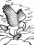 Eagle coloring page