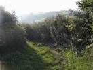 Runaway lane heading to Cottlass Farm - via Daymix