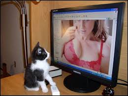 SEC and porn