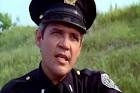 Police Academy More Police