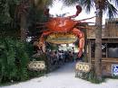 The Crab Shack on Tybee | Brown's Guide to Georgia