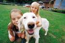 Selecting The Right Pet For Your Family, Printable Pet Care Charts ...
