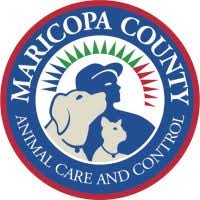 Image result for maricopa county animal care