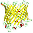http://wpcontent.answcdn.com/wikipedia/commons/thumb/f/fb/Sucrose_porin_1a0s.png/250px-Sucrose_porin_1a0s.png