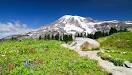 MOUNT RAINIER NATIONAL PARK