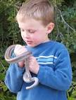 April 2006 with local Rosy Boa