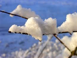 images?q=tbn:ANd9GcS3HJYoTR8jDg1kqhI-E4CvAvk3ZdazRzxonUoPwQnUhj-OjvIeZQ