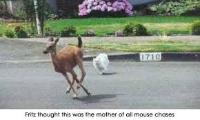 images?q=tbn:ANd9GcS3QnZZbCRQ32sShd6DXtoTvKblLcl03WrbLI1RJZBYLDUT9EM&t=1&usg=__CSTg06yT91wv5Buy0kqfp5rz-JM=