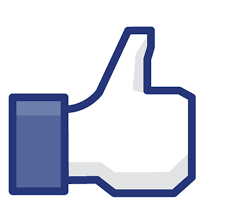 http://t1.gstatic.com/images?q=tbn:ANd9GcS3WgyhpMdRomov-35tpqPuCB1XcNAu3_yQ7Ct7X1lwZoI3_RIVcg