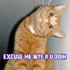 images?q=tbn:ANd9GcS3ZFiGXcRp4dYSh5-gSSIFt_gEucLE6oah9Drx8m7l7f1RsUZ4IZW3H71TBQ