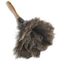 Lawline Careers – ostrich-