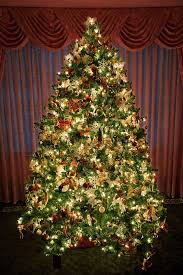 مجموعة صور لأجمل ـشجرة عيد الميلاد - صفحة 8 Images?q=tbn:ANd9GcS3tjXn9z6MXsoA71t6r0MYFpMevcjQ_1B1TMuVProsZBWfP26UpA