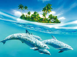 Fond d\u0026#39;ecran Dauphins des iles. Comment l\u0026#39;afficher sur son bureau ? - Aller à la liste complète des fonds d\u0026#39;écran de Animal - 5138-dauphins-des-iles-WallFizz