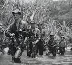 external image images?q=tbn:ANd9GcS43tI_HDSjIYx1Uth5vkziPsZbH1ktxFw1-RhHvyG9CV-RRynsBDWy4pwZgw