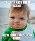 You Can Pass These Exams, Now Dont Stress and Fight! - you-can-pass-these-exams-now-dont-stress-and-fight