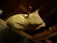 musical instrument museum - via Daymix