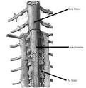 and <b>Arachnoiditis</b> Risks