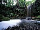 Suriname Guide -- National Geographic