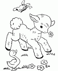 Image result for sheep coloring page
