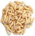 Waxworms 1000 Count, Bulk Live Farm Fresh Waxworms, Plump, Live ...