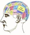 Knowledge Management | On Firmer Ground