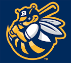 Burlington Bees Logo - Chris Creamer's Sports Logos Page ...