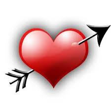 http://t1.gstatic.com/images?q=tbn:ANd9GcS5G3i-WalgRGCdPO5KcJfLXnRsF2XveGLNJrZ58wiMEDA9c0cJ&t=1