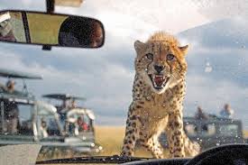 Maasai Mara National Park