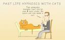 Do cats have nine lives  Way of Cats blog