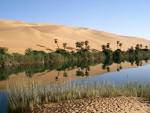 Image File:Oasis in Libya.jpg Picture