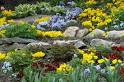 TLC Home "About Rock Gardens"