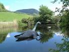 close to the Loch Ness - via Daymix
