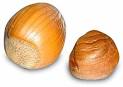 Oregon State Nut - Hazelnut