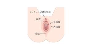 女性性器整形|膣縮小 ： 婦人科・女性器：美容外科 高須クリニック