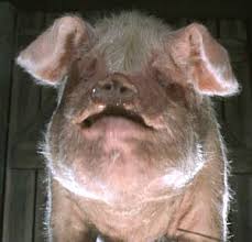 external image images?q=tbn:ANd9GcS5sRS3M_BypO38dCkqdzysEInN5q6q1iviJigzVhCV8xrqERYmLuYH2aSkBQ