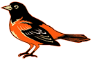 oriole%20bird.gif